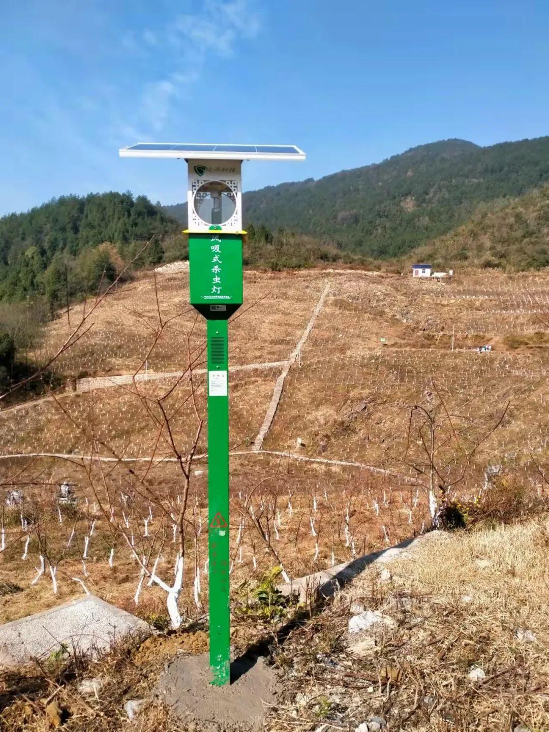 太陽能殺蟲燈 太陽能殺蟲燈