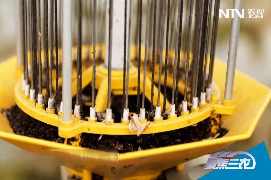 太陽能殺蟲燈 太陽能殺蟲燈