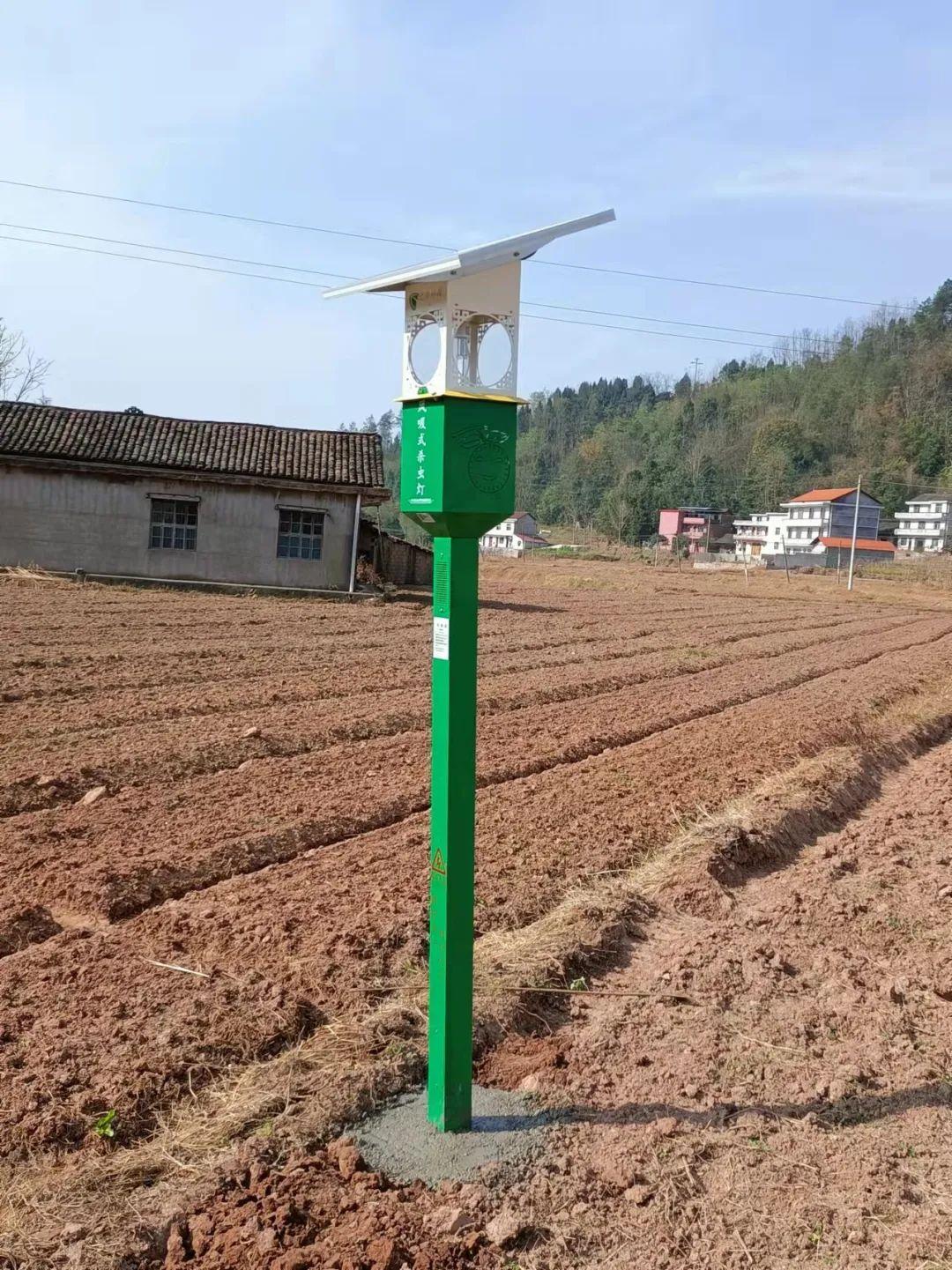 太陽能殺蟲燈 太陽能殺蟲燈